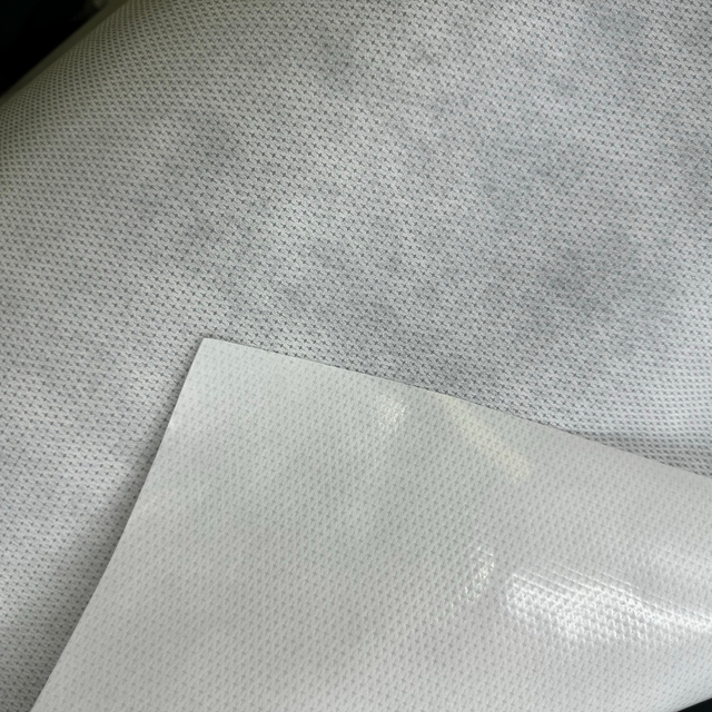 PP Nonwoven Hot Melt S